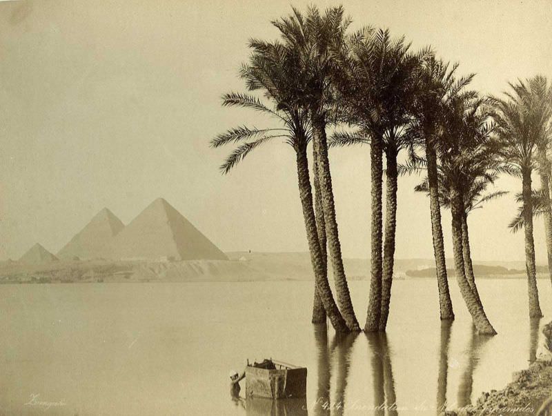 Flooded banks of the Nile