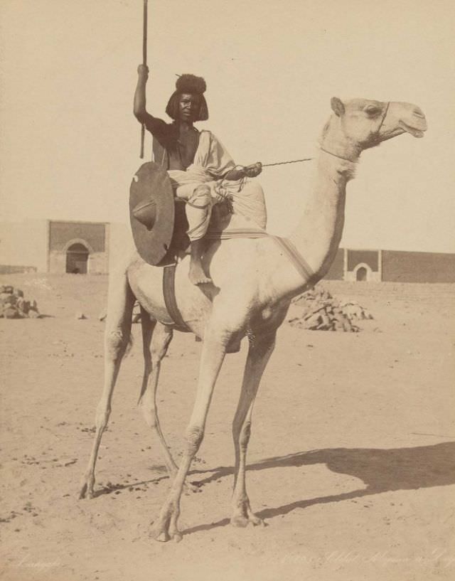 Bicharin soldier on a camel