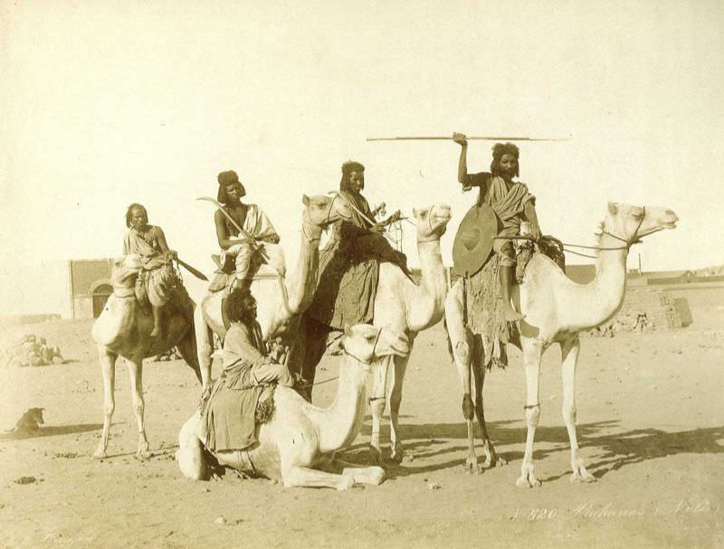 Bicharin men on camels