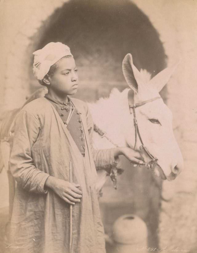 Young boy with donkey
