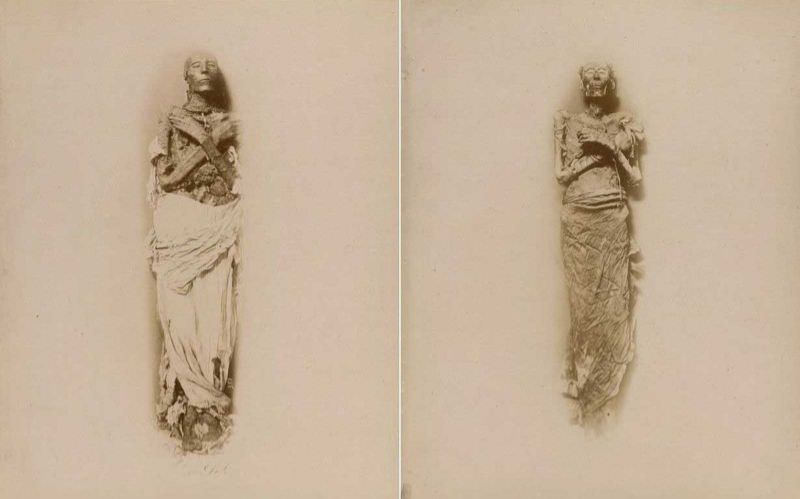 The mummy of Seti I & the mummy of Ramesses II