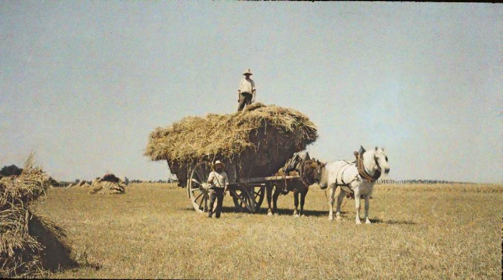 A loaded cart, 1907