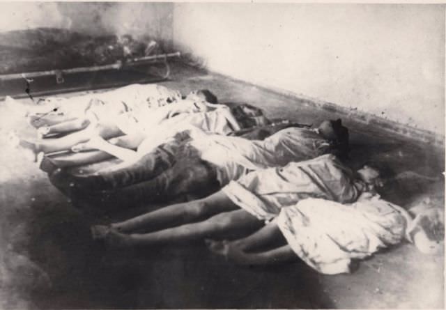 The bodies of Joseph Goebbels children.