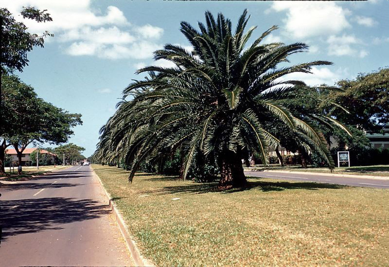 Hickam Field, Oahu, Hawaii