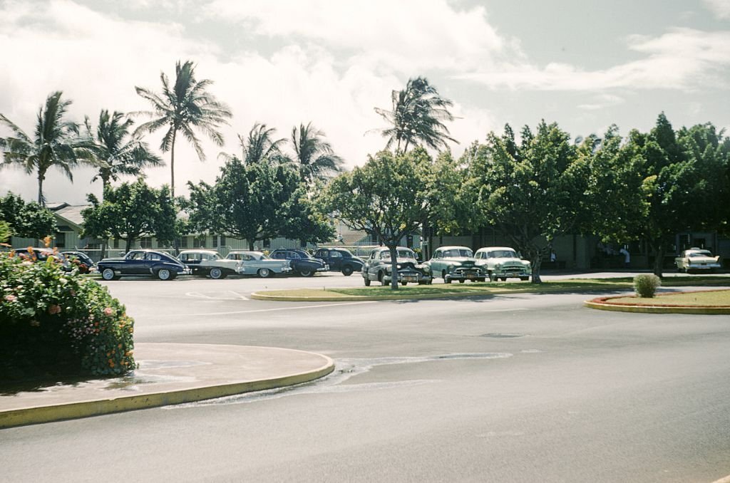 Cars parked among palm trees, Honolulu, Hawaii, 1952