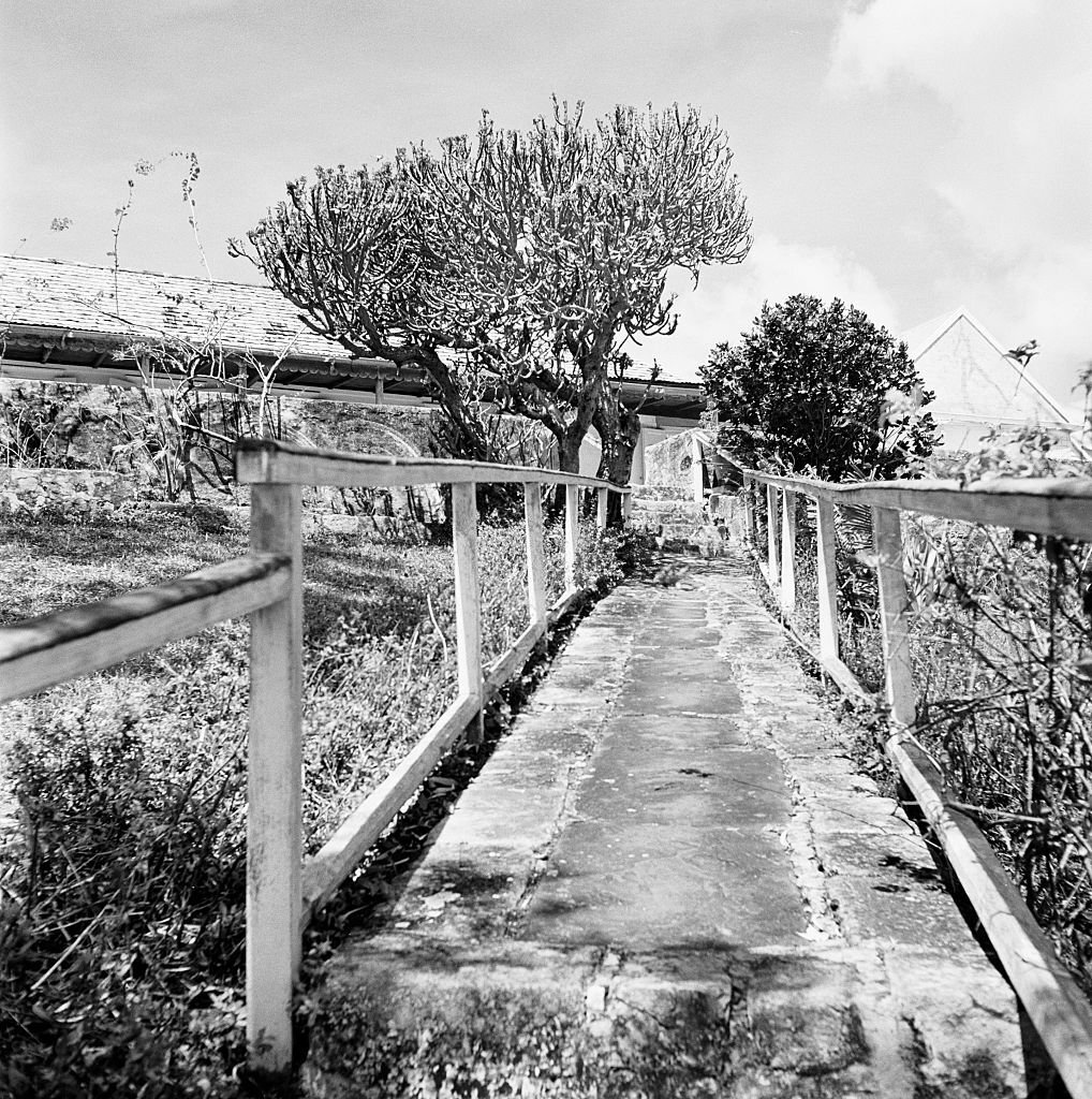 Pathway Leads to a Home, 1950