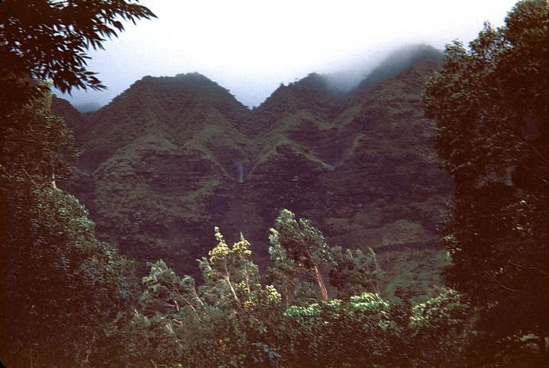 Upside-Down Falls in Nuuanu Valley, Oahu, Hawaii