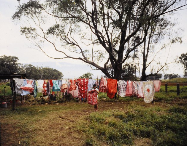 Washing hung out to dry, Hawaii, 1959