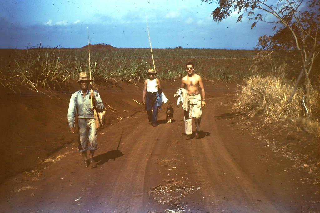 On a road in Hawaii, 1945