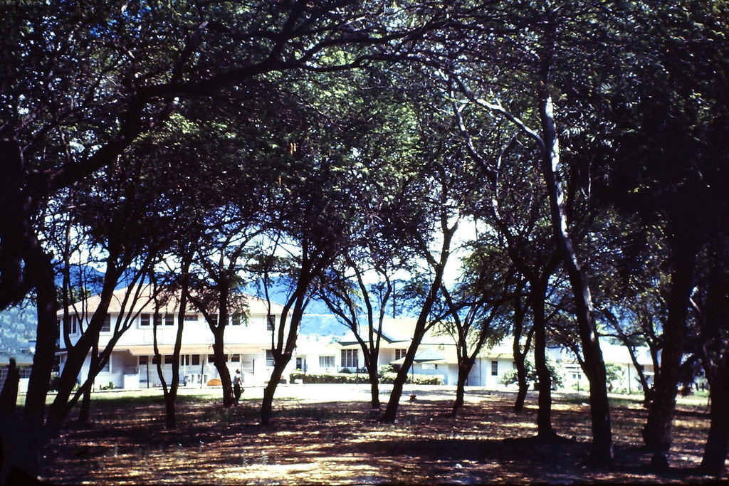 Schofield Barracks, Hawaii, 1945