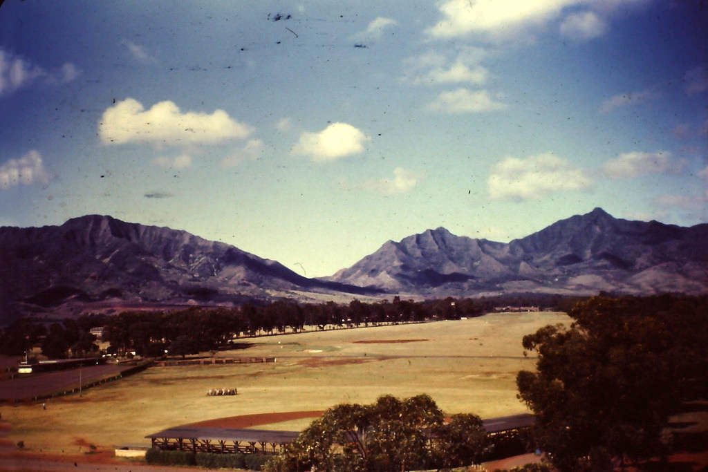 Fields near Schofield Barracks, Hawaii, 1945