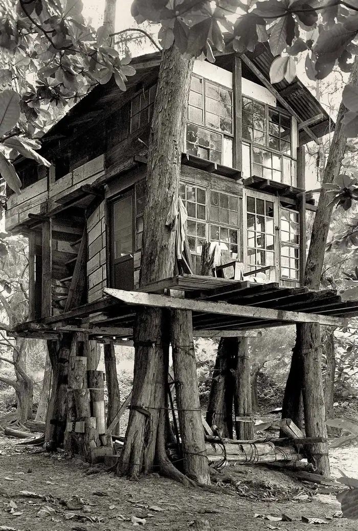 A group of young people started camping out on the beach in Kauai in the late 1960s, and over the next several years, built a community of treehouses known as Taylor Camp.