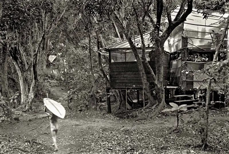 Life at a Hippie Tree House Village in Hawaii in the 1970s