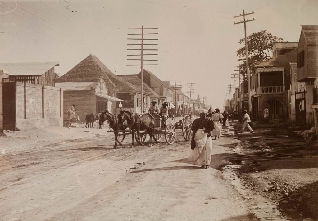 Rails laid down for mule-drawn trams criss-cross a busy road crowded with pedestrians and horse-drawn carts at Kingston, 1894