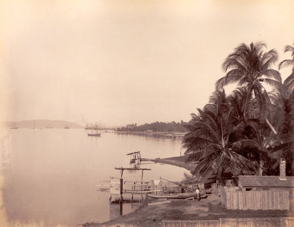 Kingston harbour, 1891