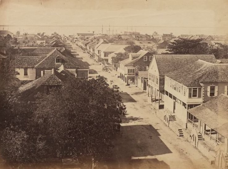 General view of street in Kingston, 1870s