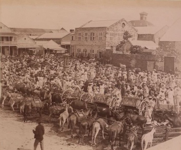 Crowds of people and animals, 1870s