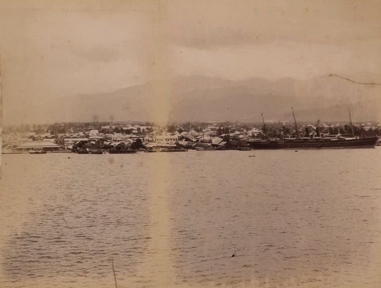 Showing Kingston from the sea, 1860s
