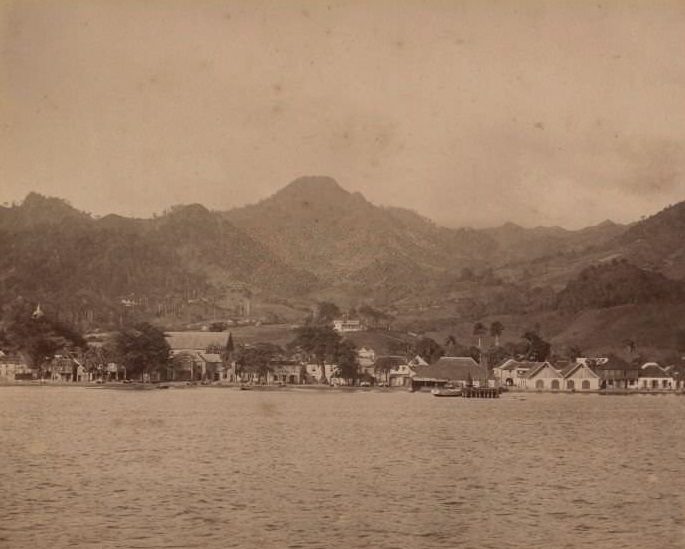 Kingston with hills behind, taken from the sea, 1860s