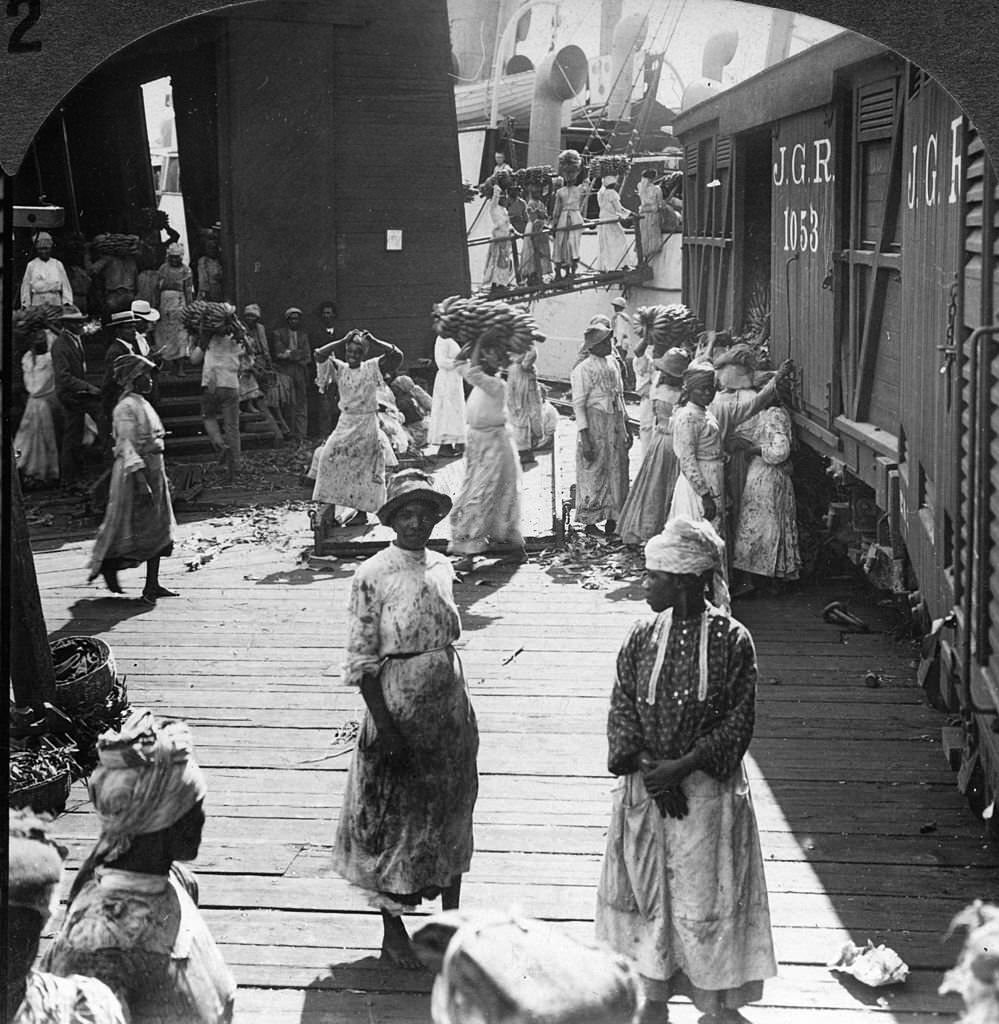 Loading a fruit steamer with bananas for northern markets, Kingston, Jamaica, 1890s