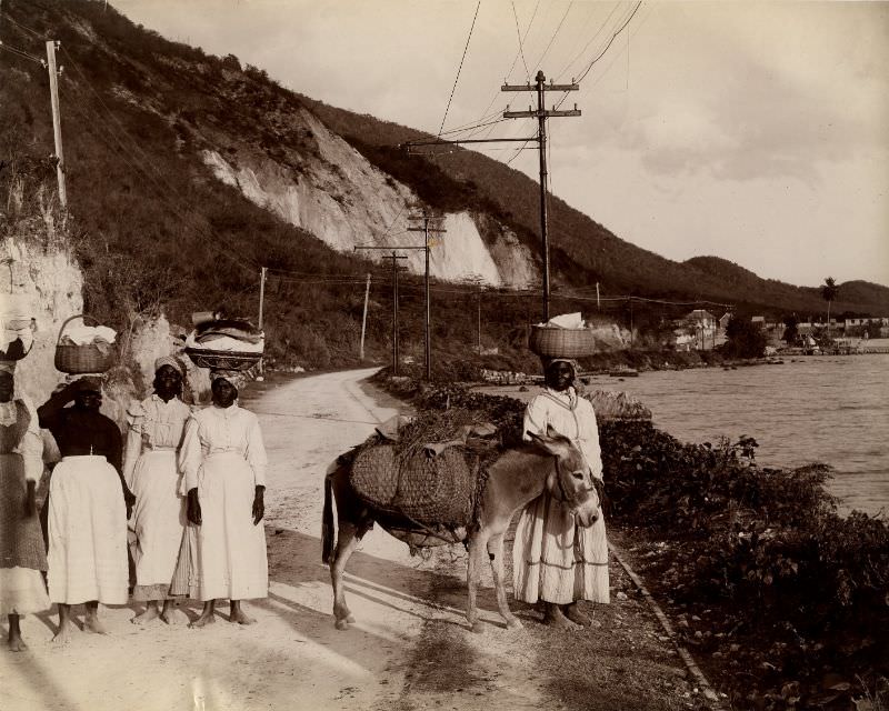 Going to market, Rockfort Road, Kingston, Jamaica, 1890