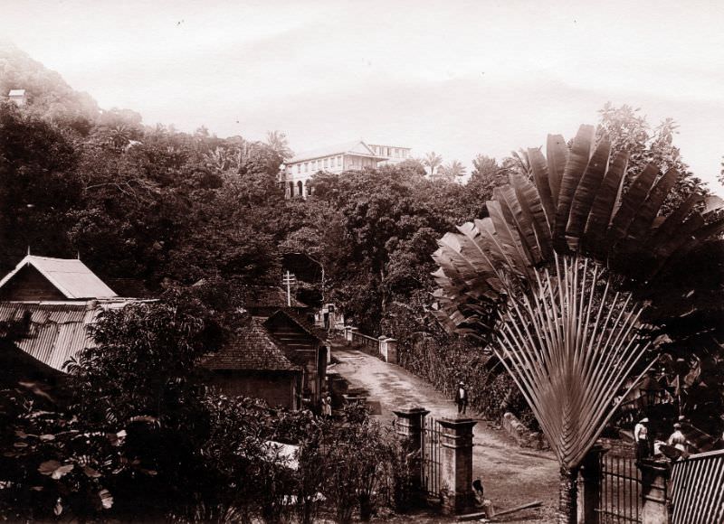 Kingston street scenes, Jamaica, 1890