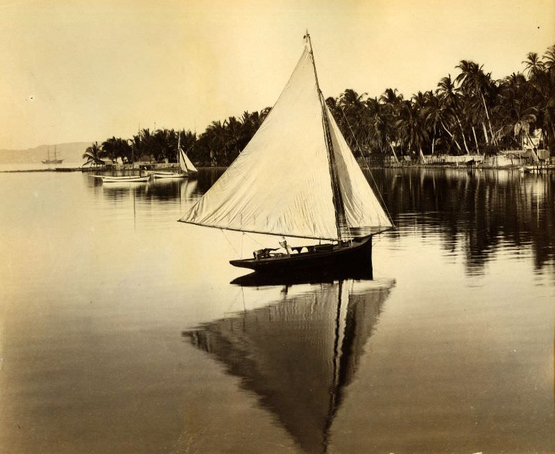A bit on Kingston Harbor, Jamaica, 1891