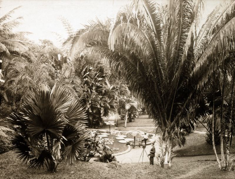 Castleton Gardens, Kingston, Jamaica, 1891
