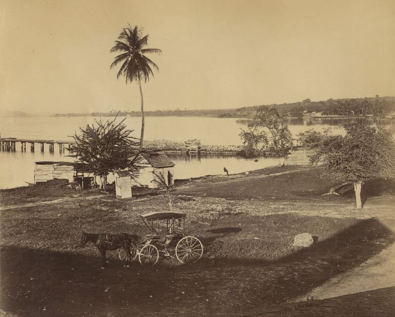 Kingston view from Rock Fort, Jamaica, 1891