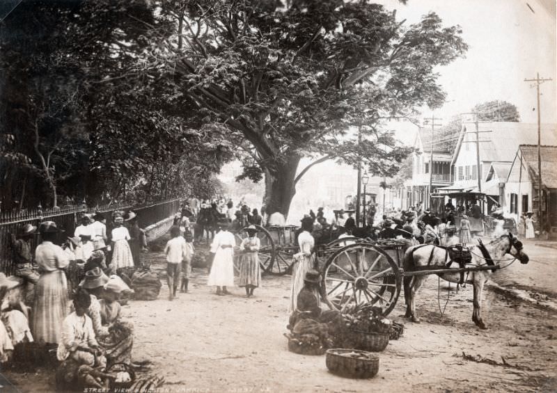 Kingston, Jamaica, 1891