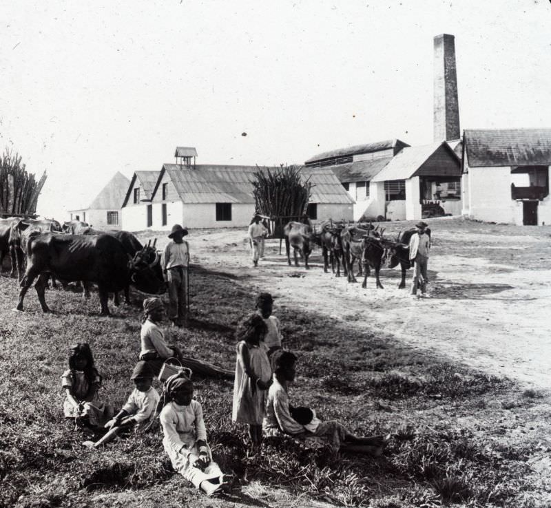 Sugar mill, Kingston, Jamaica, 1891