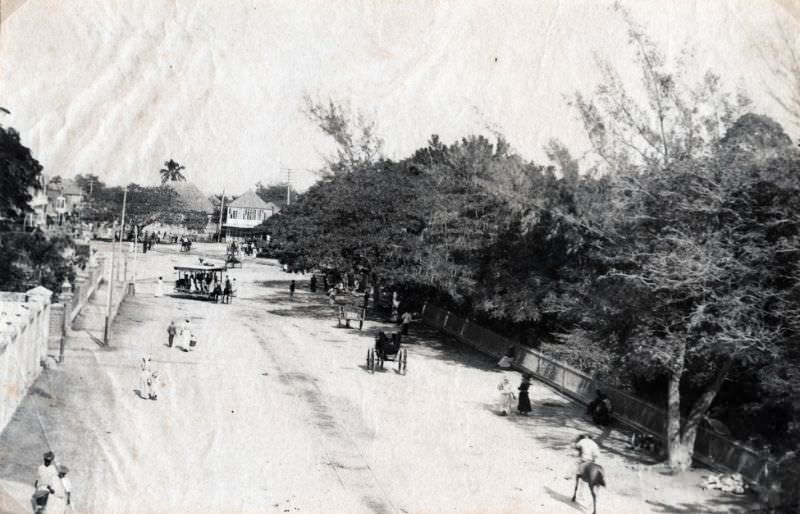 Kingston Gardens, Jamaica, 1897