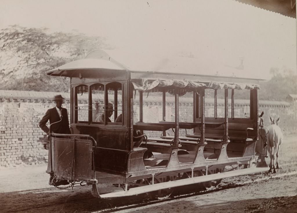An open-sided tram is pulled along rails by two mules at Kingston, 1894
