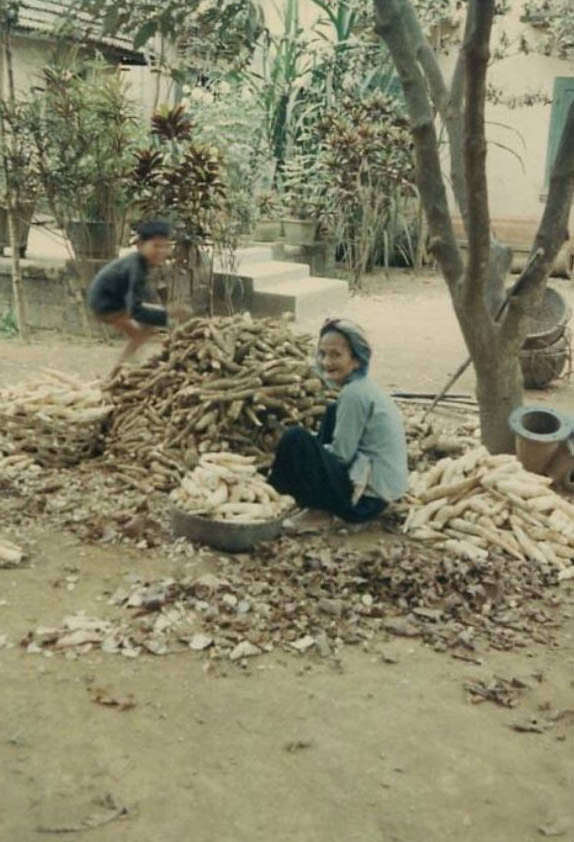 A Vietnamese mother and son peeling a large pile of what appears to be cassava root in the courtyard of an unidentified Vietnam village.