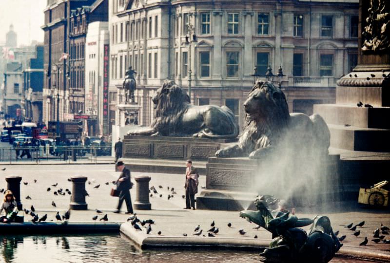Landseer Lions, Trafalgar Square, 1956