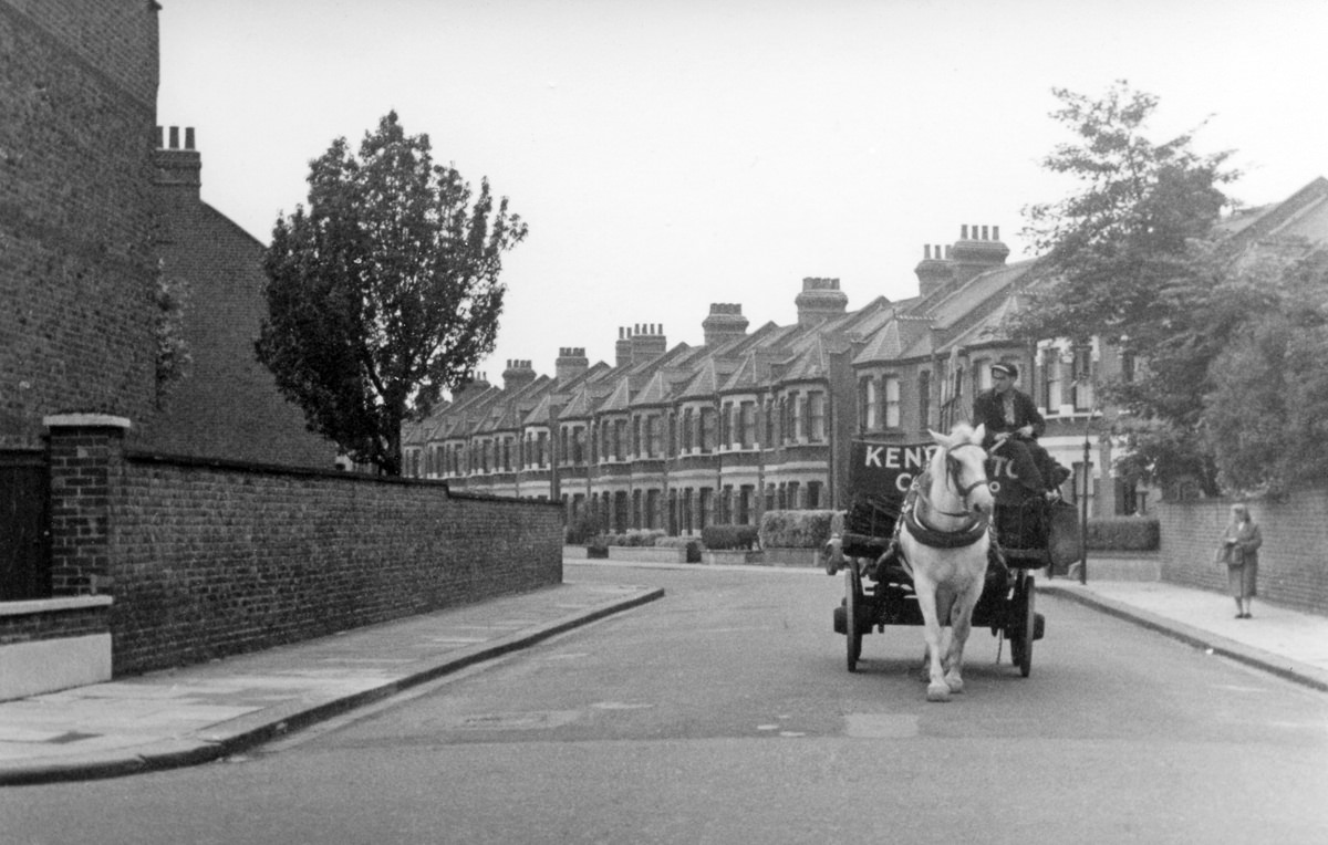 Street Life of London in the Summer of 1954 Through These Fascinating Vintage Photos