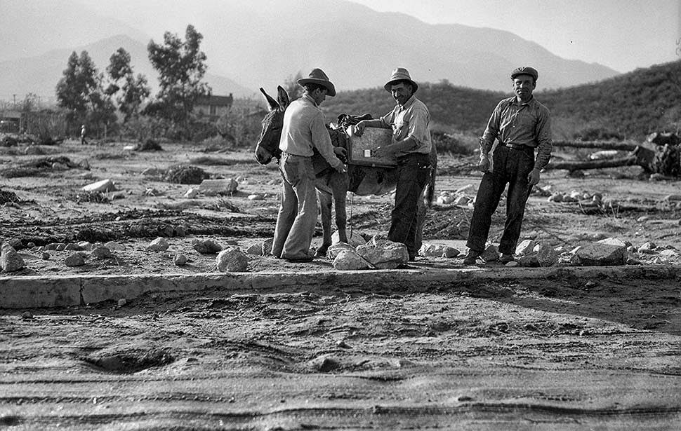 A burro is used to move water and supplies after New Year's Eve flooding in the La Crescenta area, 1934