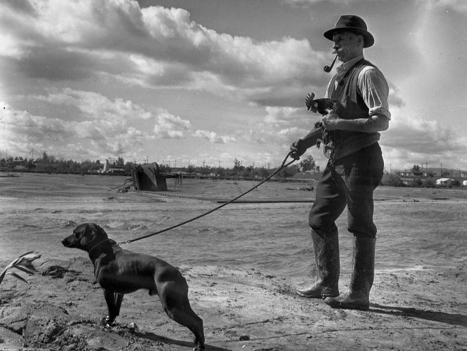 Henry Cooper with a dog and rooster, all that was saved from Earl Callan's home, part of which can be seen in the Los Angeles River in the background, 1938