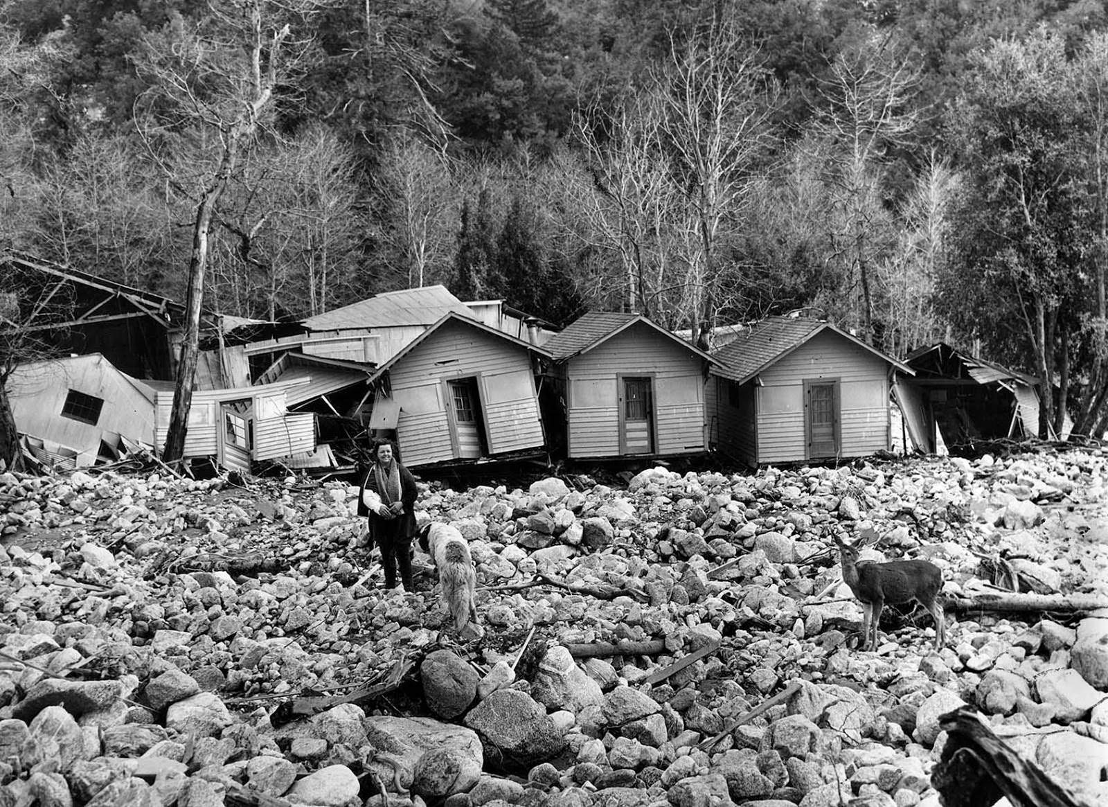 Ruth Curry, with a broken arm, owner of Camp Baldy resort, stands in front of shattered cabins after floodwaters destroyed the majority of them, 1938