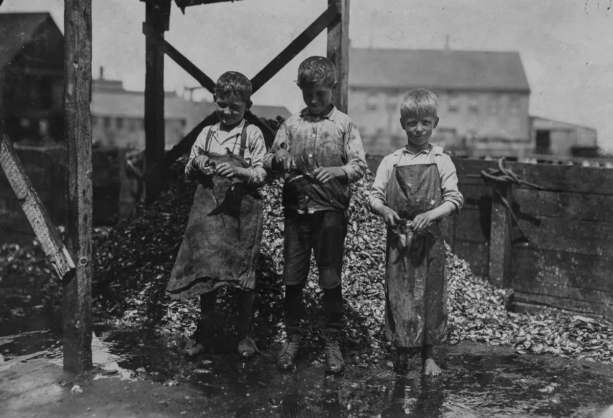 Three cutters in Factory #7, Seacoast Canning Co., Eastport, Me.