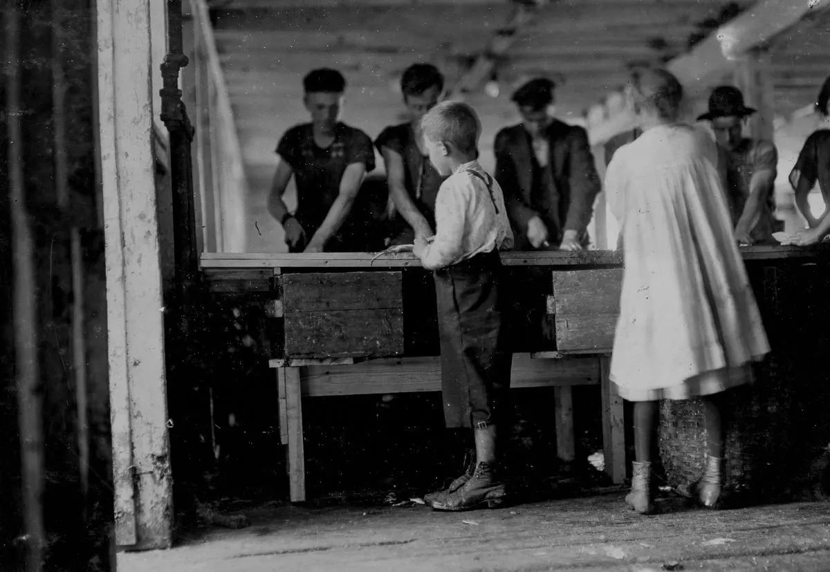 Interior of a cutting shed in Maine. Young cutters at work, Clarence, 8 years, and Minnie, 9 years.
