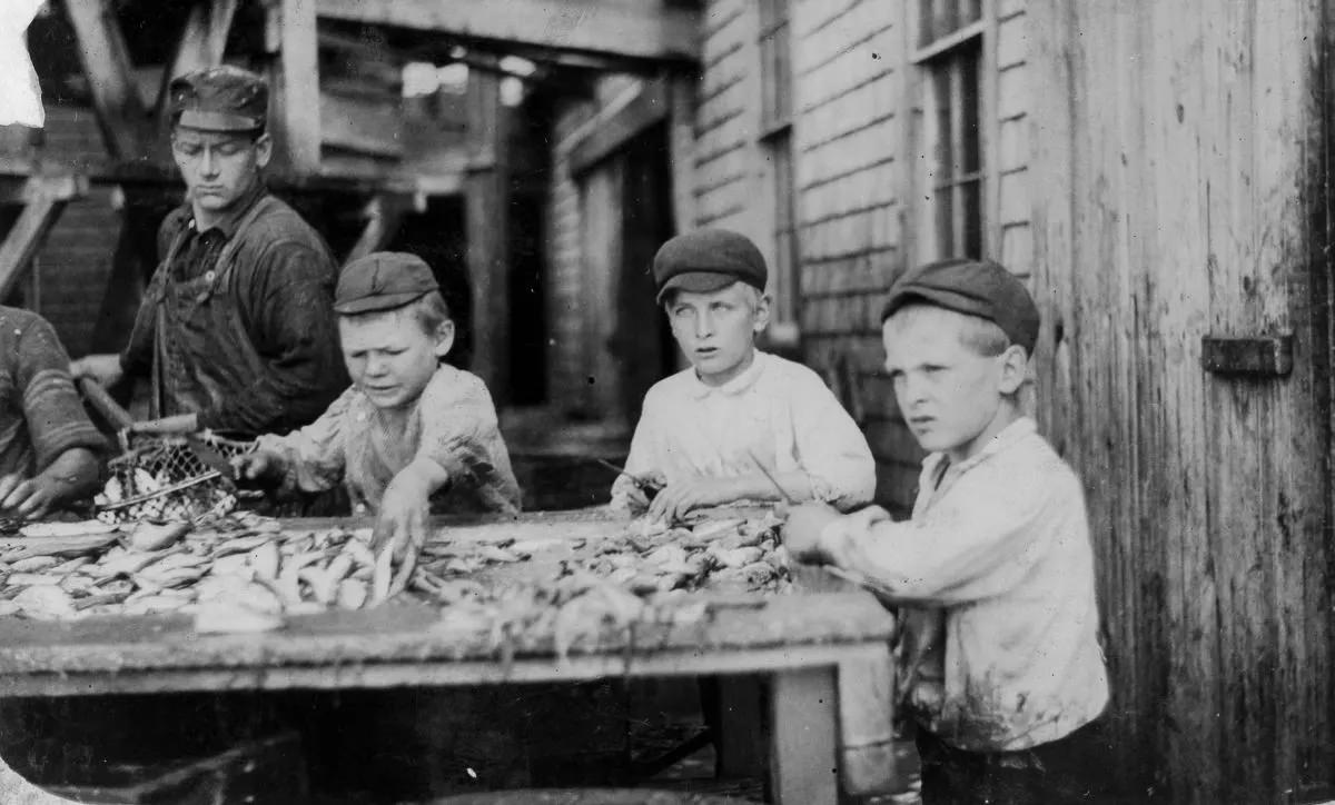 Three young cutters who work in Seacoast Canning Co., Factory #4. Ages 10 to 12. Work regularly.”