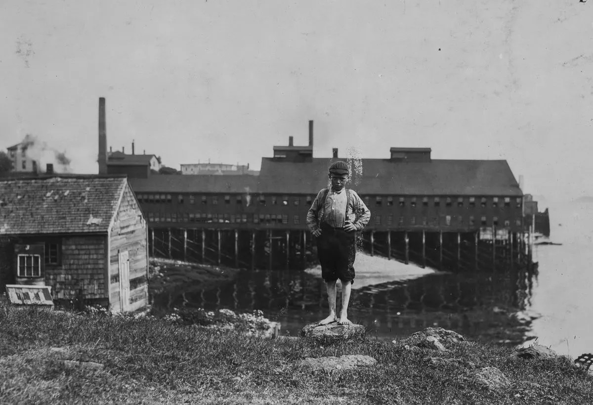 Fulsom McCutcheon, 11 years old, has been working at the covering machines in Eastport canning factory, also cutting some.