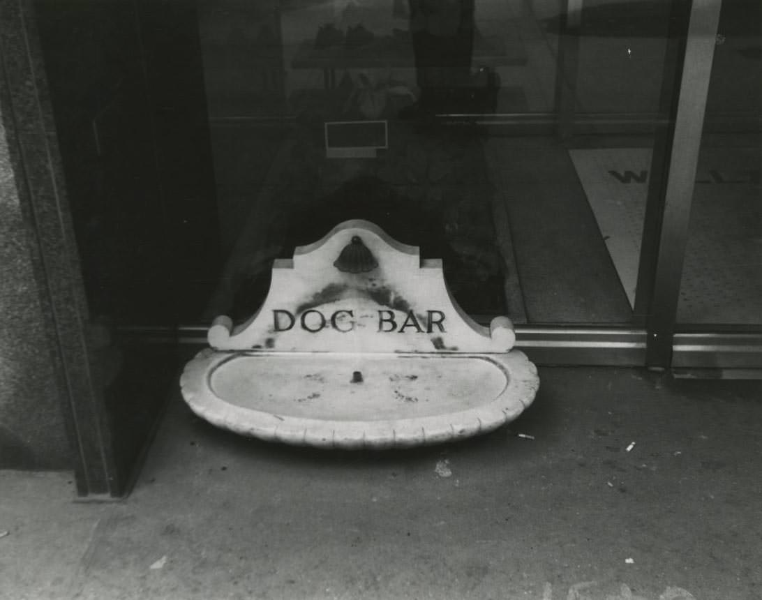 Small stone sculpture inscribed with the words DOG BAR on the ground at Wallachs clothing store on Fifth Avenue and 44th Street.