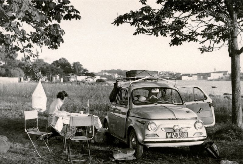 A lady sitting at a picnic table under chestnut trees in late afternoon sunshine, 1960