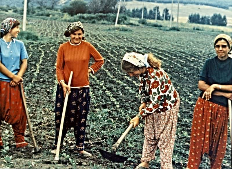 Village girls in tobacco field, Polyanovo, Bulgaria, 1973