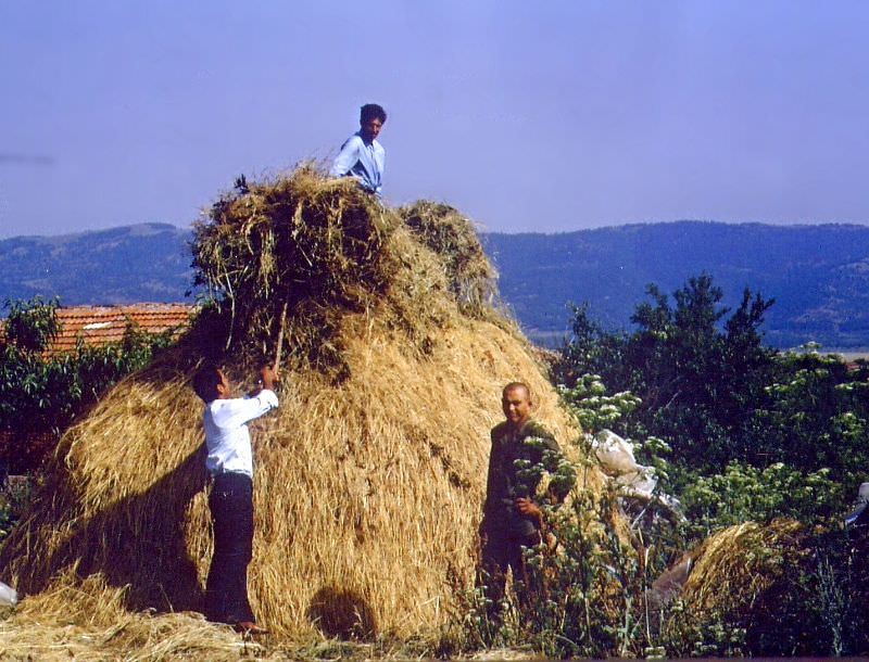 Work in the village, Polyanovo, Bulgaria, 1971
