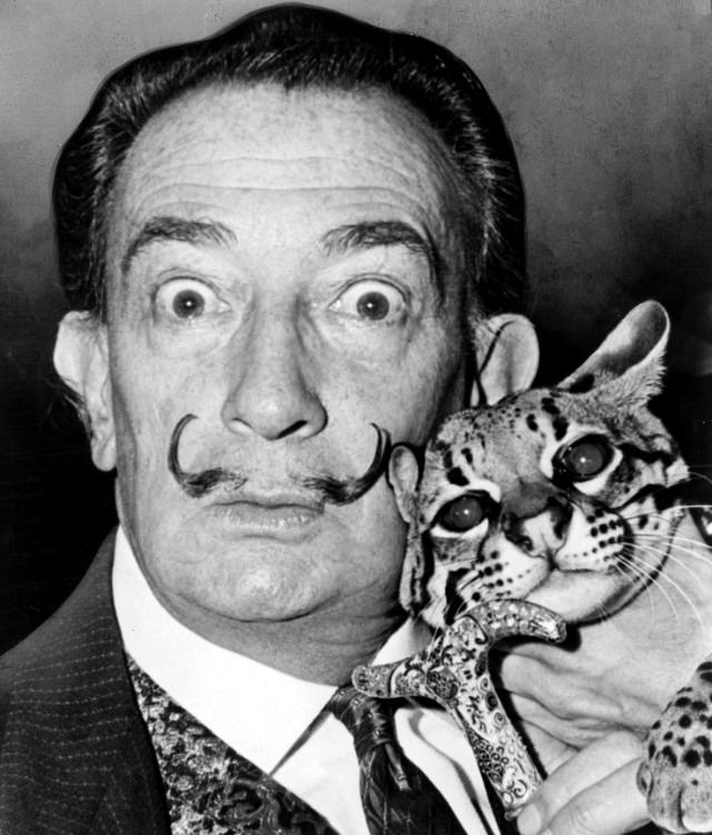 Humorous Portraits of Salvador Dalí with his Iconic Mustaches