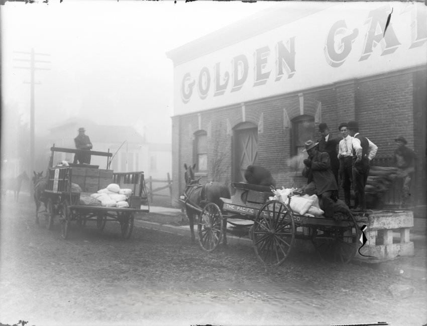 Golden Gate Packing company, 1920