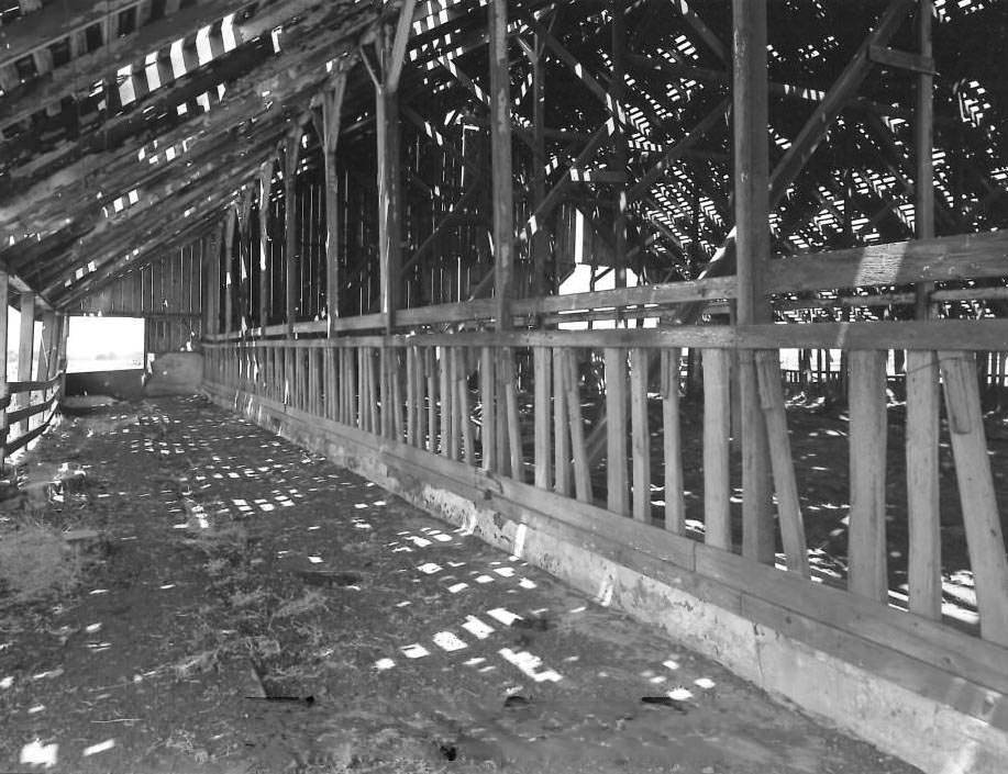The Dairy, north of Metcalf Road - Feed Barn, 1978